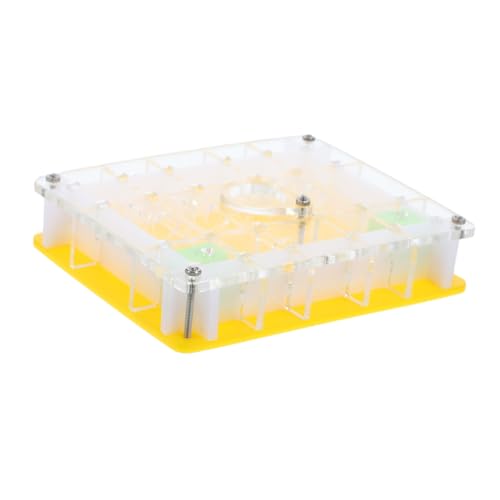 HONITANO 1 Satz Ameisennest Ameisenfarm die Gabe The Present Ameisenforschung Ameisenzuchtbox für Kleinkinder ab 1 Jahr Wissenschaft beobachten Ameisenschloss aus Acryl von HONITANO