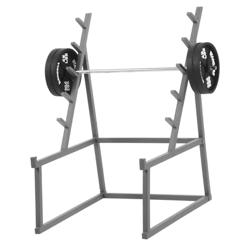 HONITANO 1 Satz Fitness-Ornamente Mini Puppenhaus-langhantelmodell Langhantel Puppenhauszubehör Puppen-langhantel Puppenhausdekor Puppenhauslieferungen Langhantel Requisiten Eisen HONITANO 1 Satz Fitness-Ornamente Mini Puppenhaus-langhantelmodell Langhantel Puppenhauszubehör Puppen-langhantel Puppenhausdekor Puppenhauslieferungen Langhantel Requisiten Eisen von HONITANO
