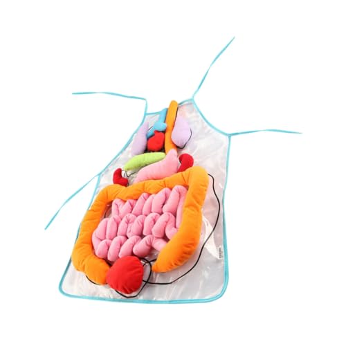 HONITANO 1 Satz Orgelschürze Bildungsschürze Kognitives 3D Organe Schürze des Menschlichen Lehrmittel Zur Körperstruktur Transparentes Design Für Frühe Bildung von HONITANO