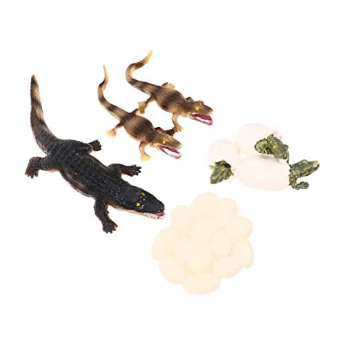 HONITANO 1 Satz Wachstumszyklus Erziehungswissenschaftliches Meeresorganismus-Modell Ocean Animal Toy Simulationsmodell Für Meerestiere Meerestiermodell Plastik von HONITANO