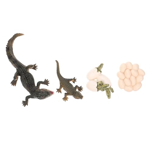 HONITANO 1 Set Wachstumszyklusmodell Tier Realistisches Lebenszyklusmodell Wachstumsmodell Früherziehungsrequisite Wachstumszyklusfigur Aus Lernspielzeug Kinderspielzeug Aus von HONITANO