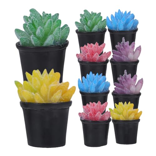 HONITANO 10 Stück Puppenhaus Pflanzen Gefälscht Gartenpflanzenornament Hauspflanze Anlage Live Axolotl Kakteenpflanzen Leben Kaktus Häuser Leiter Mini Fälschung Sträucher Künstlich Harz HONITANO 10 Stück Puppenhaus Pflanzen Gefälscht Gartenpflanzenornament Hauspflanze Anlage Live Axolotl Kakteenpflanzen Leben Kaktus Häuser Leiter Mini Fälschung Sträucher Künstlich Harz von HONITANO