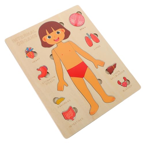 HONITANO 1Satz Anatomischem Puzzle für Holzspielzeug zur Erkennung Menschlicher Lernspielzeug für Kleinkinder zur Kognitiver Fähigkeiten und Hand Auge Koordination von HONITANO