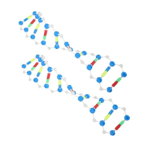 HONITANO 2 Stück DNA Modellbausatz Teilig Doppelhelix Struktur Lehrmodell für Biologieunterricht Schüler und Studenten Molekulares Lernspielzeug für Schule und Labor Anschauliches von HONITANO