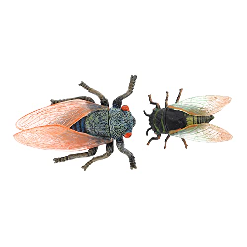 HONITANO 2 Stück Tiermodell- Lernspielzeug Simulation Zikade Kinderspielzeug Lernen Zikaden Für Plastische Insekten Gefälschte Fehler Plastik HONITANO 2 Stück Tiermodell- Lernspielzeug Simulation Zikade Kinderspielzeug Lernen Zikaden Für Plastische Insekten Gefälschte Fehler Plastik von HONITANO