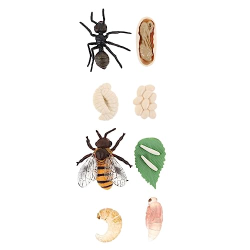 HONITANO 2Sätze Lebenszyklus Modelle Biene und Pädagogisches Insekten für Kognitive Entdeckerspielzeuge Frühen Bildung und Naturerforschung HONITANO 2Sätze Lebenszyklus Modelle Biene und Pädagogisches Insekten für Kognitive Entdeckerspielzeuge Frühen Bildung und Naturerforschung von HONITANO