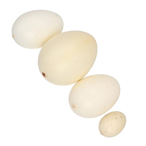 HONITANO 4 Stück 1 Ei für kinderspielzeug hühner spielsachen Set kindergeschenke Toys for Kid Toys Children Toys HONITANO 4 Stück 1 Ei für kinderspielzeug hühner spielsachen Set kindergeschenke Toys for Kid Toys Children Toys von HONITANO
