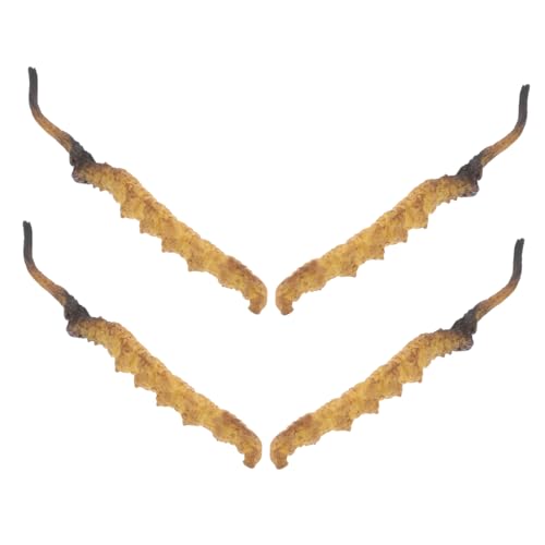 HONITANO 4 Stück Cordyceps -Modell Modell der chinesischen Medizin Arzt Rollenspiel Requisiten Arztkoffer Arztzubehör medizinische Spielzeugartikel Plastik HONITANO 4 Stück Cordyceps -Modell Modell der chinesischen Medizin Arzt Rollenspiel Requisiten Arztkoffer Arztzubehör medizinische Spielzeugartikel Plastik von HONITANO