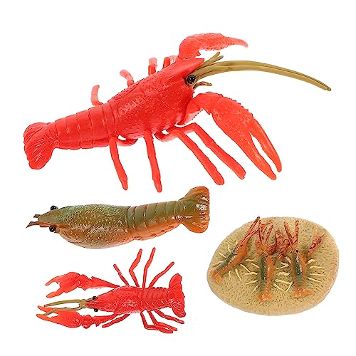 HONITANO 4Stücke Teiliges Lebenszyklus Modell für Junge Mädchen Sensory Toys für Frühes Lernen Simulation des Wachstumszyklus für Schulprojekte HONITANO 4Stücke Teiliges Lebenszyklus Modell für Junge Mädchen Sensory Toys für Frühes Lernen Simulation des Wachstumszyklus für Schulprojekte von HONITANO