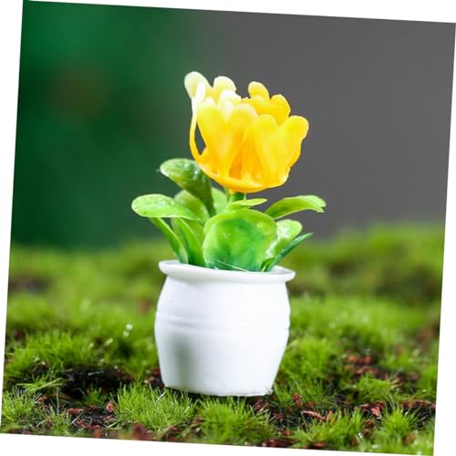 HONITANO 5 Stück Teiliges Mini Bonsai Puppenhaus Deko Miniatur Pflanzen Tischdekoration für Miniaturgarten und Tiny House Zubehör von HONITANO