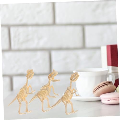 HONITANO 7 Stück Teiliges Dinosaurier Skelett Modell DIY Zusammenbau für Pädagogisch Wertvoll Realistische Skelett Figuren Wissen und Fantasie von HONITANO