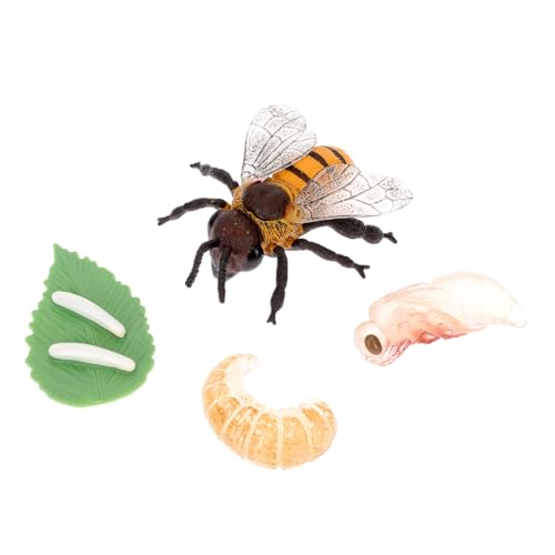 HONITANO Biologie Lernspielzeug Bienenmodell aus Kunststoff Realistisches Miniatur Bienenwachstumszyklus Modell Leicht Sicher für Unterricht Rollenspiel und Wissenschaftsstationen von HONITANO