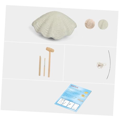 HONITANO DIY Perlenarmband mit Muschelperlen Kreatives Bastelspielzeug für Mädchen Fördert Feinmotorik Soziale Fähigkeiten und Unabhängiges Denken und Lernspielzeug HONITANO DIY Perlenarmband mit Muschelperlen Kreatives Bastelspielzeug für Mädchen Fördert Feinmotorik Soziale Fähigkeiten und Unabhängiges Denken und Lernspielzeug von HONITANO