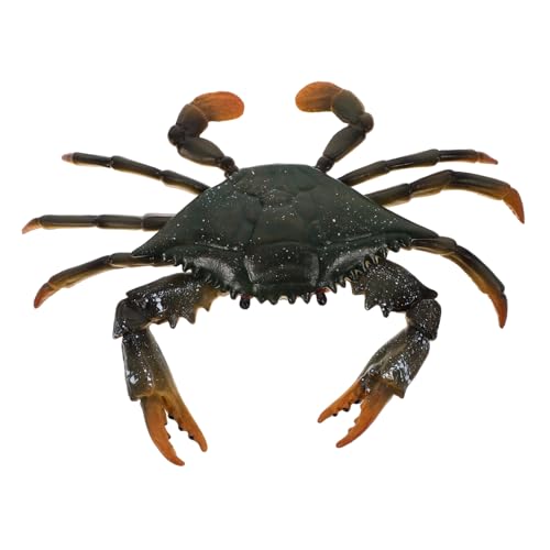 HONITANO Lernspielzeug Realistische Krabbenfigur aus Farbenfrohes Meeresbewohner Modell Pädagogisches Tier zur Fantasie und Szenariospielentwicklung von HONITANO