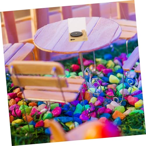 HONITANO Miniatur Retro Plattenspieler Modell Detailgetreues Puppenhaus Zubehör Realistische Miniatur Cd Maschine Dekoratives und Restaurant Ornament DIY Mikro Landschaftsdekoration von HONITANO