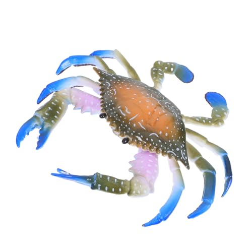 HONITANO Realistisches Buntes Plastikmodell Blaue Fuß Krabbe Lernspielzeug Simulation Meereslebewesen Figur Miniatur Dekoration für Aquarium Kinderzimmer Garten HONITANO Realistisches Buntes Plastikmodell Blaue Fuß Krabbe Lernspielzeug Simulation Meereslebewesen Figur Miniatur Dekoration für Aquarium Kinderzimmer Garten von HONITANO