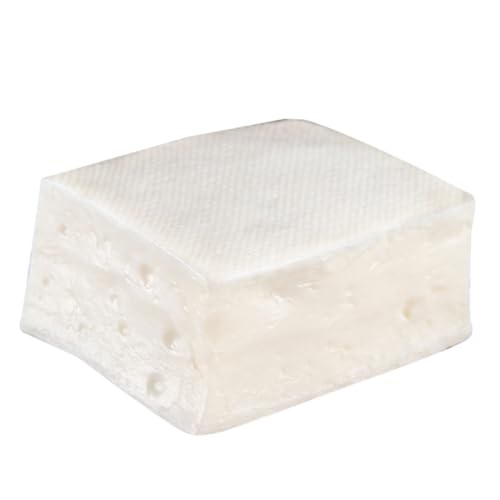 HONITANO Realistisches Tofu Modell aus PVC Täuschend Echtes Tofu Dekorationsspielzeug für Fotografie Kindergarten und Kunstprojekte von HONITANO
