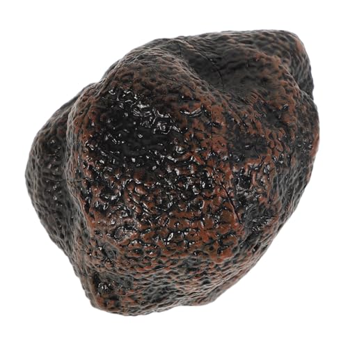 HONITANO Schwarzes Trüffel Modellspielzeug Küchenzubehör Küchenspielzeug Für Simulationsküchenspielzeug Küchengeräte Für Simulationsspielzeug Simulationsspielzeug Für HONITANO Schwarzes Trüffel Modellspielzeug Küchenzubehör Küchenspielzeug Für Simulationsküchenspielzeug Küchengeräte Für Simulationsspielzeug Simulationsspielzeug Für von HONITANO