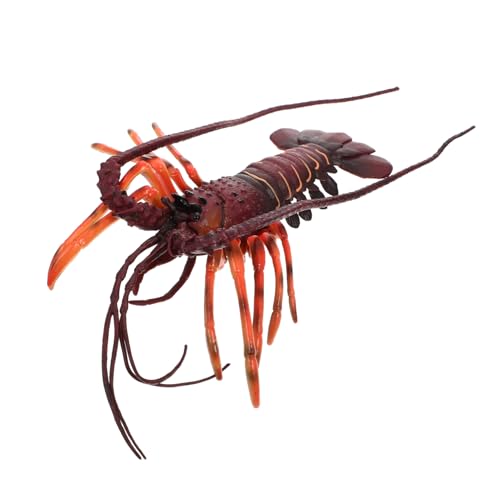 HONITANO Simulation Lobster Modell aus Hochwertigem Kunststoff Realistisches Meeresbewohner Naturwissenschaftliche Bildung Detailgetreue Dekoration und Lernspielzeug Leicht zu Greifen HONITANO Simulation Lobster Modell aus Hochwertigem Kunststoff Realistisches Meeresbewohner Naturwissenschaftliche Bildung Detailgetreue Dekoration und Lernspielzeug Leicht zu Greifen von HONITANO