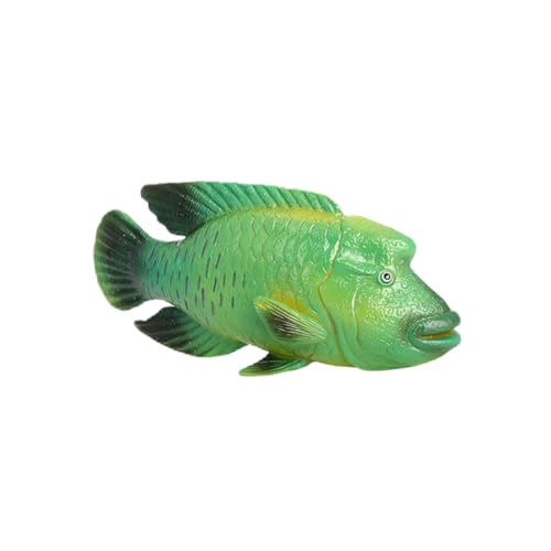 HONITANO Simuliertes Fischmodell aus Kunststoff Realistische Meerestiere Statue für Pädagogisches Kreativität und Farbkenntnis für Aquarien HONITANO Simuliertes Fischmodell aus Kunststoff Realistische Meerestiere Statue für Pädagogisches Kreativität und Farbkenntnis für Aquarien von HONITANO