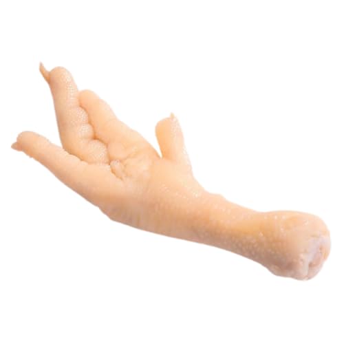 HONITANO Simuliertes Hühnerfußmodell Realistische Lebensmittelrequisiten Falsches Huhn Künstliche Fleischmodelle Lebensechtes Kunstfleischmodell Gefälschtes Essen Falsches Fleisch Beige PVC HONITANO Simuliertes Hühnerfußmodell Realistische Lebensmittelrequisiten Falsches Huhn Künstliche Fleischmodelle Lebensechtes Kunstfleischmodell Gefälschtes Essen Falsches Fleisch Beige PVC von HONITANO