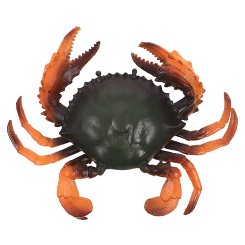 HONITANO Simuliertes Krabbenmodell Lernspielzeug Realistische Meeresfigur Kognitives Motorik Farben Erkennen Spaßelement HONITANO Simuliertes Krabbenmodell Lernspielzeug Realistische Meeresfigur Kognitives Motorik Farben Erkennen Spaßelement von HONITANO