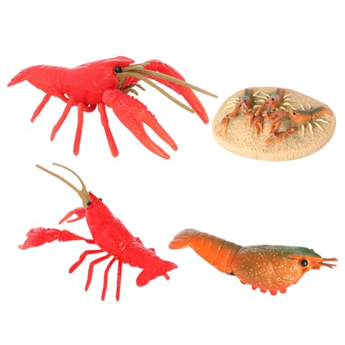 HONITANO Simuliertes Krebsmodell Realistische Krebsfigur Lebenszyklus Lernspielzeug für Biologisches Lernset aus Sicherem Kunststoff Lehrreiches Aquarium Tierfiguren Modell HONITANO Simuliertes Krebsmodell Realistische Krebsfigur Lebenszyklus Lernspielzeug für Biologisches Lernset aus Sicherem Kunststoff Lehrreiches Aquarium Tierfiguren Modell von HONITANO