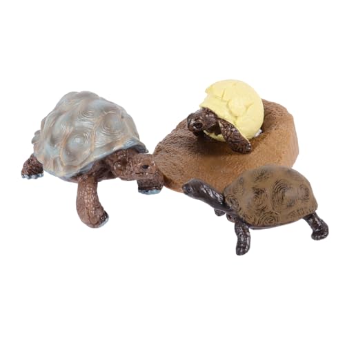 HONITANO Teiliges Schildkröten Wachstumszyklus Modell aus Leichtem Kunststoff Pädagogisches Lernspielzeug und Dekorative Tierfigur Sichere Textur für Anschauliches Biologisches Lehrmodell HONITANO Teiliges Schildkröten Wachstumszyklus Modell aus Leichtem Kunststoff Pädagogisches Lernspielzeug und Dekorative Tierfigur Sichere Textur für Anschauliches Biologisches Lehrmodell von HONITANO