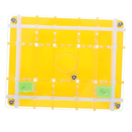 HONMEET 1Satz Acryl Ameisenfarm Ökologisches Transparentes Beobachtungsset für Naturwissenschaftliche Experimente Langlebiges Acrylmaterial mit Luftöffnungen von HONMEET