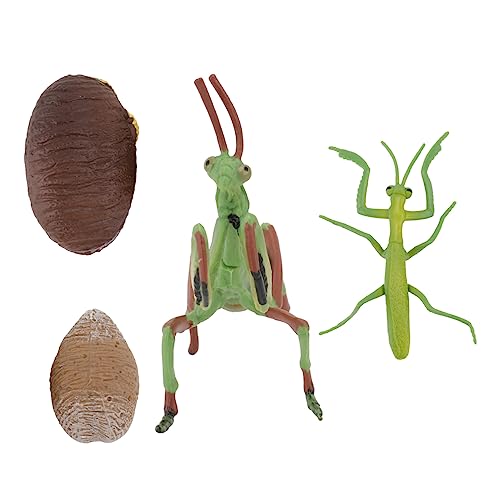 HONMEET 1Satz Mantis Modell Figur Realistische Insekten Simulation für Pädagogisches zur des Naturverständnisses mit Mantis und Schnecke für Kindergarten HONMEET 1Satz Mantis Modell Figur Realistische Insekten Simulation für Pädagogisches zur des Naturverständnisses mit Mantis und Schnecke für Kindergarten von HONMEET