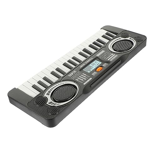 HONMEET 1Stück Piano für Tasten Klavier Lernspielzeug Geeignet für Jahre Tragbares Musikspielzeug Schwarz Fördert Hand Auge Koordination und Kreativität von HONMEET