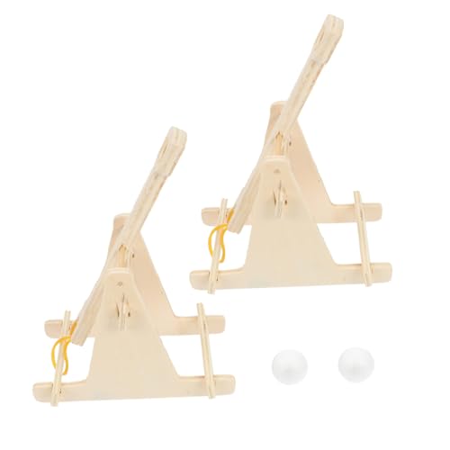 HONMEET 2Stücke DIY Stem Lernspielzeug Catapult Auto Kit Für Wissenschaft Und Bildung Für Kreative Bastelprojekte Für Jungen von HONMEET