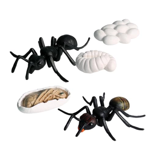 HONMEET 5Stücke Teiliges Simulation Ameisenmodell Set Künstliche Tierfiguren Für Lernspielzeug Zum des Ameisenwachstumszyklus Für Kindergarten Und Zuhause Schwarz von HONMEET