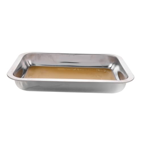 HONMEET Anatomie-Tablett medizinisch Student Platte Laborwerkzeug sezieren Labortablett für Dissektion Labortablett mit Wachs Tabletts aus Edelstahl Laborschalen Rostfreier Stahl Silver von HONMEET