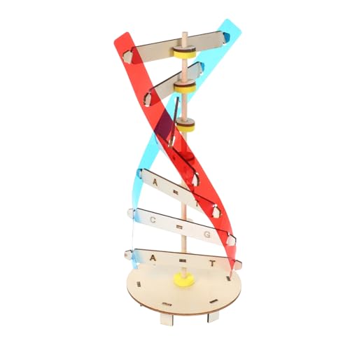 HONMEET DNA Modell DIY Doppelhelix Bausatz für Pädagogisches Wissenschaftsspielzeug Fördert Biologisches Verständnis Motorische Fähigkeiten Interaktives Lernen für Schulunterricht Ab HONMEET DNA Modell DIY Doppelhelix Bausatz für Pädagogisches Wissenschaftsspielzeug Fördert Biologisches Verständnis Motorische Fähigkeiten Interaktives Lernen für Schulunterricht Ab von HONMEET