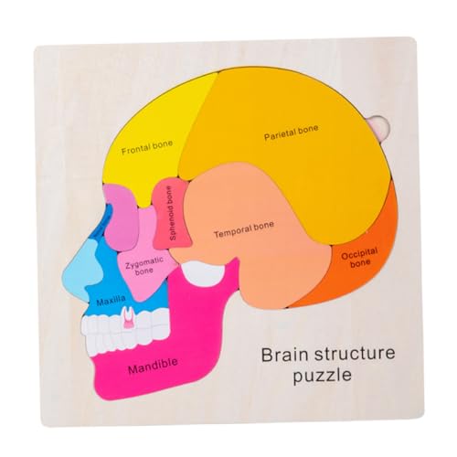 HONMEET Holz Puzzlespiel Gehirnstruktur Lernspielzeug für Ab Jahren Pädagogisches Montessori Kognitiven Entwicklung und Feinmotorik Mehrschichtiges Gehirnpuzzle von HONMEET