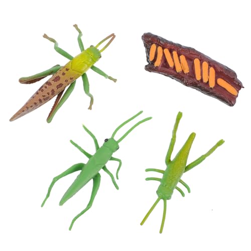 HONMEET Insekten Lebenszyklus Modellset Handbemalt Realistische Heuschrecken Figuren Pädagogisches Lernspielzeug Frühe Bildung Fördernd Kreatives Denken von HONMEET