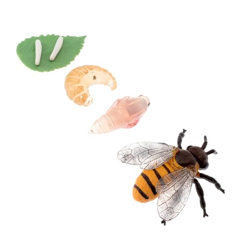 HONMEET Kinderpädagogisches Lernspielzeug Kleine Hummermodellfigur mit Realistischem Lebenszyklus Detailreiche Miniatur Fördert Naturverständnis und Kreativität Kognitives Insekten von HONMEET