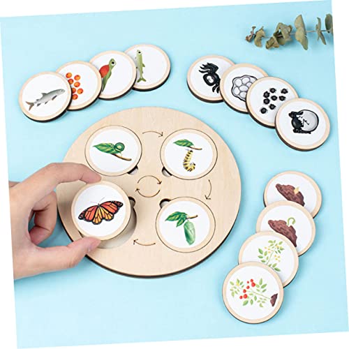 HONMEET Lebenszyklus Holzspielzeug mit Tierwachstumszyklus Figuren und Tray Pädagogisches Lernspielzeug für Realistische Tiermodelle für Biologieunterricht und Rollenspiele HONMEET Lebenszyklus Holzspielzeug mit Tierwachstumszyklus Figuren und Tray Pädagogisches Lernspielzeug für Realistische Tiermodelle für Biologieunterricht und Rollenspiele von HONMEET