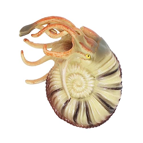 HONMEET Meerestier-Modell Nautilus-Modell Aus Strapazierfähigem Plastiktierfigur Für Aquarium-Dekoration Und Lernspielzeug von HONMEET