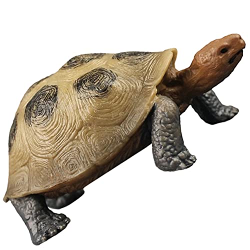 HONMEET Plastikschildkröte Realistische Große Landschildkröte Figur für Pädagogisches Lernspielzeug und für Anlässe Wie oder Weihnachten HONMEET Plastikschildkröte Realistische Große Landschildkröte Figur für Pädagogisches Lernspielzeug und für Anlässe Wie oder Weihnachten von HONMEET