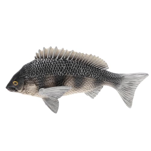 HONMEET Realistisches Bream Fischmodell aus Solidem Kunststoff Pädagogisches Tiermodell für Dekoratives Meeres Themed Desktop objekt Lernspielzeug für Junge Mädchen und Aquarium von HONMEET