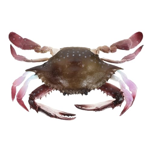 HONMEET Realistisches Künstliches Krabbenmodell aus Stabilem PVC Detailgetreue Meeresfigur zur Dekoration von Aquarium Terrarium Badewanne und Pool Pädagogisches und HONMEET Realistisches Künstliches Krabbenmodell aus Stabilem PVC Detailgetreue Meeresfigur zur Dekoration von Aquarium Terrarium Badewanne und Pool Pädagogisches und von HONMEET