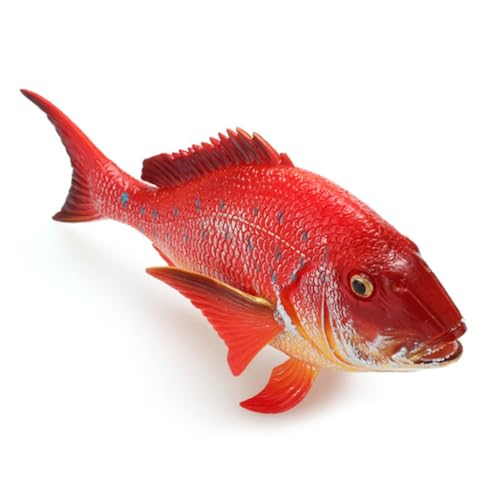 HONMEET Rotes Rotbrassen Aquarium Deko aus Solidem Kunststoff Realistische Meeresbewohner Figur Kindgerechtes Modell Tierdekoration für Fischbecken und Langlebiges Sammelobjekt von HONMEET