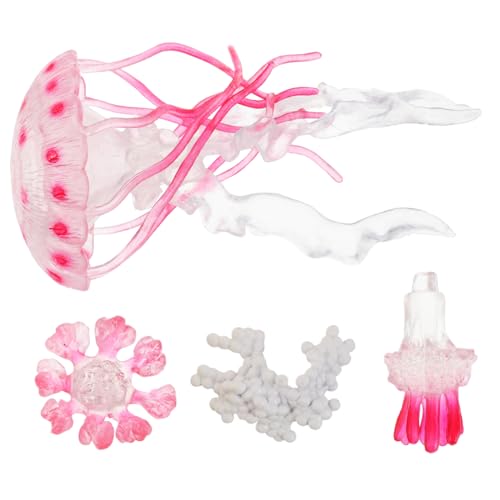 HOODANCOS Meerestiere Spielzeug Satz für Kinder Quallen Figuren aus Kunststoff Lernspielzeug für Vorschulkinder Dekorative Aquarium Dekoration Sicheres und Stabiles Bildungsspielzeug HOODANCOS Meerestiere Spielzeug Satz für Kinder Quallen Figuren aus Kunststoff Lernspielzeug für Vorschulkinder Dekorative Aquarium Dekoration Sicheres und Stabiles Bildungsspielzeug von HOODANCOS
