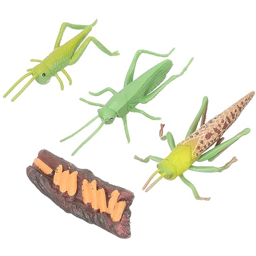 HOODANCOS 1 Satz Tierwachstumszyklus Modellspielzeug Simulierte Tierfiguren für Pädagogisches Lernspielzeug für Jungen und Mädchen für Geburtstag und Weihnachten HOODANCOS 1 Satz Tierwachstumszyklus Modellspielzeug Simulierte Tierfiguren für Pädagogisches Lernspielzeug für Jungen und Mädchen für Geburtstag und Weihnachten von HOODANCOS