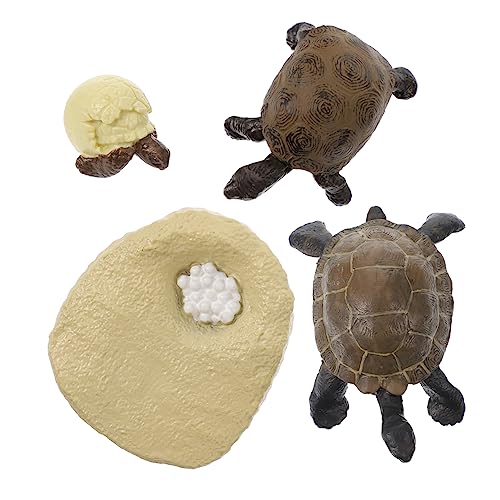 HOODANCOS 1 Satz Tortoise Growth Cycle Modelle Simulierte Schildkrötenfiguren für Kognitive Spiele und Naturwissenschaftliche Bildung HOODANCOS 1 Satz Tortoise Growth Cycle Modelle Simulierte Schildkrötenfiguren für Kognitive Spiele und Naturwissenschaftliche Bildung von HOODANCOS