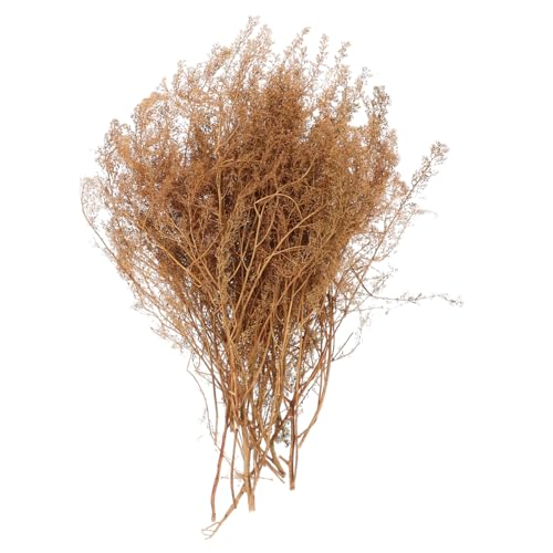 HOODANCOS 1 Schachtel Dorniges Quinoa -Modellmaterial Modell Machen Gras sandtisch DIY Modell Simulation Grasmodell Sandtisch realistisches Gras Miniatur-Szenengras Modelleisenbahn Gras Holz HOODANCOS 1 Schachtel Dorniges Quinoa -Modellmaterial Modell Machen Gras sandtisch DIY Modell Simulation Grasmodell Sandtisch realistisches Gras Miniatur-Szenengras Modelleisenbahn Gras Holz von HOODANCOS