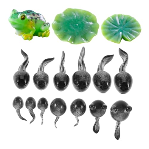 HOODANCOS 16 Stück Miniatur Frosch Figuren Teiliges Harz Deko für DIY Terrarien und Gartenlandschaften Kreative Miniatur Tadpole und Frosch Ornamente Robust und Wetterfest für Feengärten und HOODANCOS 16 Stück Miniatur Frosch Figuren Teiliges Harz Deko für DIY Terrarien und Gartenlandschaften Kreative Miniatur Tadpole und Frosch Ornamente Robust und Wetterfest für Feengärten und von HOODANCOS