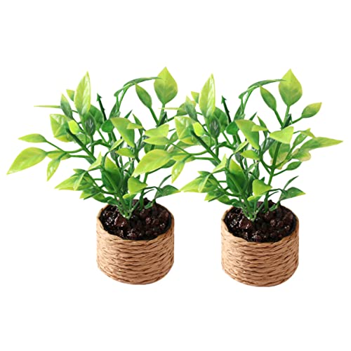 HOODANCOS 2 Stück Miniaturpflanzen Künstliche Potted Pflanzen für Puppenhäuser Dekorationen für Mini Häuser Tischmittelstücke aus Plastik Sicher für Kreative Räume HOODANCOS 2 Stück Miniaturpflanzen Künstliche Potted Pflanzen für Puppenhäuser Dekorationen für Mini Häuser Tischmittelstücke aus Plastik Sicher für Kreative Räume von HOODANCOS